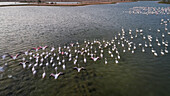 Luftaufnahme von Flamingos in den Al qudra Seen inmitten der Saih Al Salam Wüste in Dubai, UAE