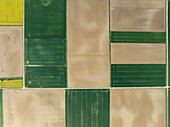 Luftaufnahme von schönen grünen landwirtschaftlichen Feldern mit Mustern in der ruhigen Landschaft, Wittenheim, Frankreich