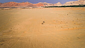 Aerial view of two donkeys in the desert of Sharjah,U.A.E