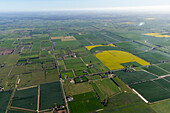Luftaufnahme von ausgedehntem grünem Ackerland mit geometrischen Mustern auf dem Land, Tongala, Australien