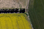 Luftaufnahme von schönem grünem und gelbem Ackerland mit Feldern und Baumgrenze, Melton, Australien