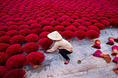 Aerial view of vibrant incense field with workers in conical hats,Huyen Ung Hoa,Vietnam