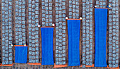 Aerial view of fish drying under the sun with rows of blue tarps and patterns,Long Hai,Ba Ria-Vung Tau,Vietnam
