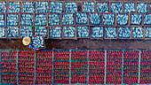 Aerial view of drying fish on racks with workers in straw hats,Long Hai,Vietnam