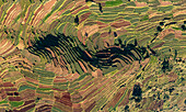 Aerial view of Polur Village terrace fields in Tamil Nadu region,Kodai Kanal,India