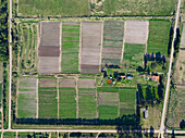 Luftaufnahme von leuchtend grünen Getreidefeldern und Ackerland mit verschlungenen Mustern, Montevideo, Uruguay