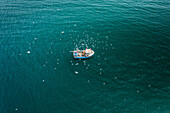 Aerial view of fishing boat in turquoise sea pulling in lobster & crab pots while seagulls fly overhead,Mevagissey,Cornwall,United Kingdom