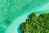 Aerial view of mangroves in the lagoon at Aldabra atoll,Seychelles