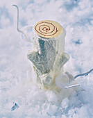 Iced tree trunk - decorative element