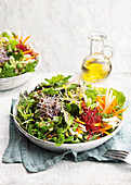 Wild herb salad with vegetables