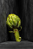 Still life with artichoke against a grey background