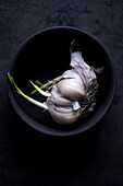 Knoblauch mit grünen Trieben in Schale