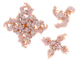 Ion channels, illustration