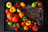Tomato science - the best tomato varieties for grilling
