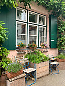 Gemütlicher Sitzplatz mit Pflanzenkübeln und Fassadengrün