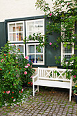 Weiße Gartenbank neben romantisch blühenden Rosen im Innenhof