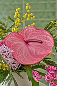Flamingo flower (Anthurium) in a flower arrangement with hyacinths and acacia branches