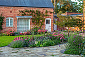 Gartenansicht mit Fetthenne (Sedum) 'Herbstfreude' und Eisenhut (Verbena bonariensis) vor Backsteinhaus