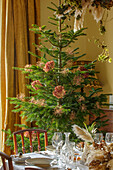 Weihnachtsbaum mit Allium- und Hortensien-Samenständen im Esszimmer