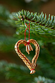 Stroherz als Weihnachtsbaumschmuck an Tannenzweig hängen