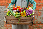 Person trägt Holzkiste mit frisch geerntetem Gemüse