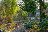 Kiesweg durch schattigen Garten mit Bambus im Februar