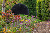 Gartenweg mit violettem Eisenkraut (Verbena bonariensis) und Hecken