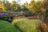 Herbstlicher Gartenweg mit Grasbordüren und buntem Laub in Oxfordshire
