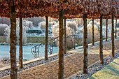 Winterlicher Gartenpfad mit Hainbuchenallee und Frost