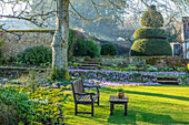 Garten im Februar mit Krokussen (Crocus tommasinianus), Bänken und Formschnitt