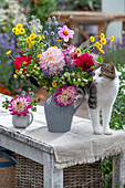 Blumenstrauß mit Dahlie, Mannstreu, Färberkamille und Zierapfel im Krug, mit Katze