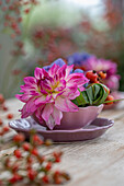 Hortensie, Dahlie und Hagebutten (Rosa multiflora) in Schalen arrangiert