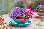 Hortensie, Dahlie und Hagebutten (Rosa multiflora) in Schalen arrangiert