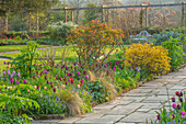 Gemischte Frühlingsblumen im Landhausgarten mit Steinweg und Lutyens-Bank