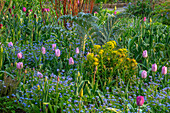 Bunte Frühlingsblumen im Garten mit Vergissmeinnicht, Wolfsmilch und Tulpen