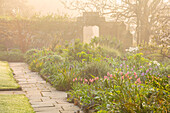 Steinpfad im Frühlingsgarten mit Tulpen und Morgennebel bei Gravetye Manor
