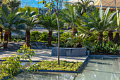 Wassergarten mit Palmen und Sitzbank aus recycelten Steinplatten