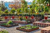 Gemischter Gemüsegarten mit Backsteinsitzplätzen und Orangenbäumen in Töpfen