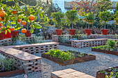 Gemüsegarten mit Backsteinsitzgelegenheiten und Orangenbäumen in Töpfen auf Mauer