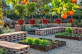 Backstein-Sitzgelegenheiten und Hochbeete mit Orangenbäumen im Garten
