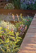 Mediterrane Gartenlandschaft mit Lavendel und Trockenmauer
