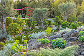 Mediterraner Garten mit Olivenbäumen auf dem Radicepura Garden Festival auf Sizilien