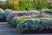 Erhöhte Beete mit mediterranen Pflanzen auf dem Radicepura Garden Festival auf Sizilien