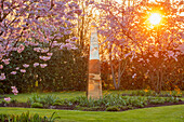 Blühende Kirschbäume (Prunus 'Accolade') und goldene Säulen-Skulptur im Frühlingsgarten