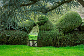 Formschnitt Eibenhecke in Vogelform mit Gartenpforte