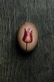 Naturally coloured Easter egg with decorative flower motif