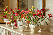 Bunte Tulpen (Tulipa) in Constance Spry Vasen auf cremefarbener Anrichte