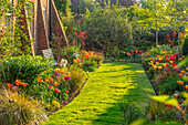 Üppige Frühlingsbeete mit Tulpen (Tulipa) entlang des Rasens im Garten