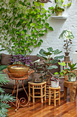 Wohnbereich mit üppigen Zimmerpflanzen und Rattan-Beistelltischen