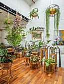 Wohnzimmer mit grünen Zimmerpflanzen, weißer Backsteinwand und Holzfußboden